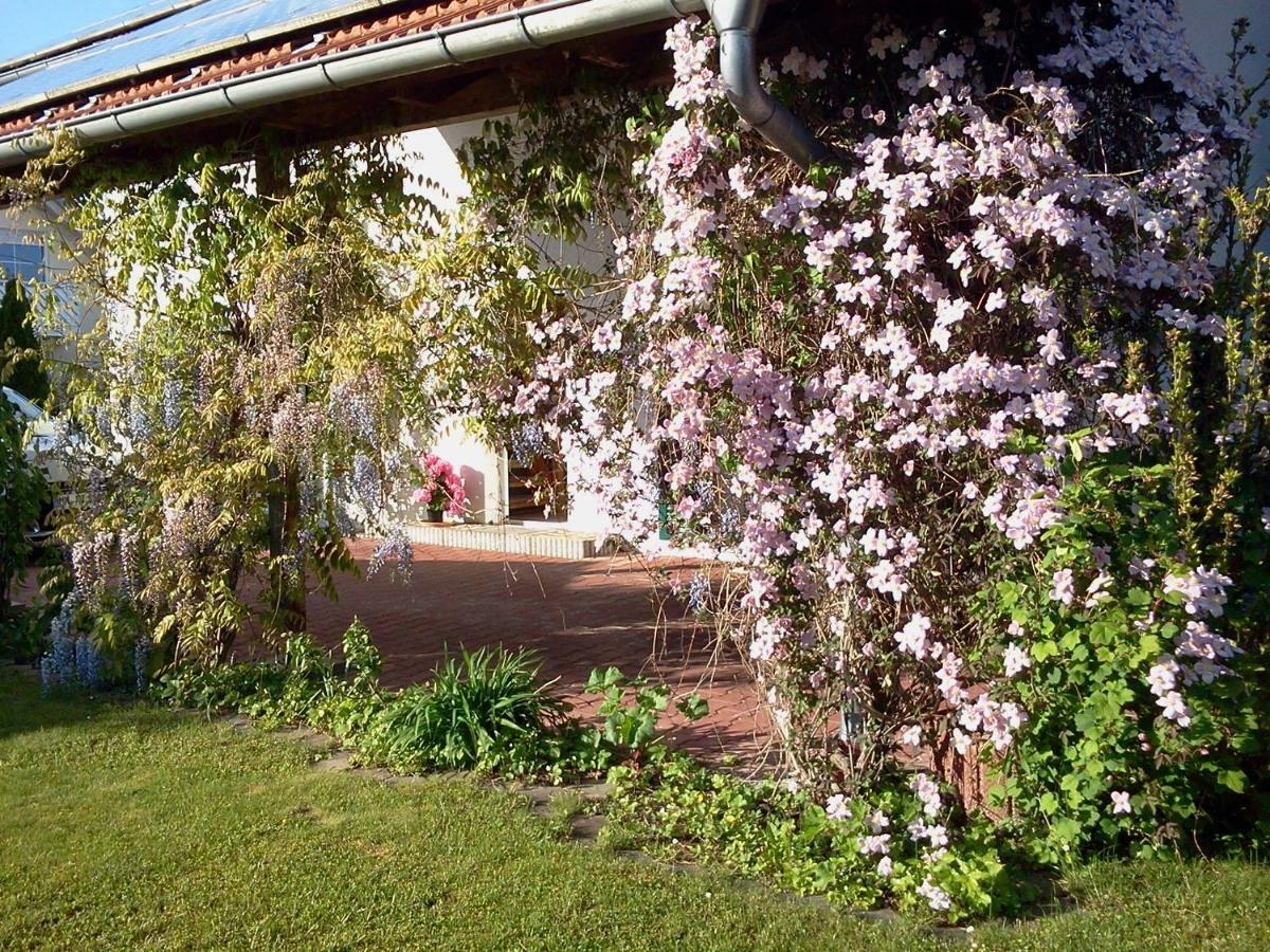 Ferienwohnung Buxheim  Екстер'єр фото